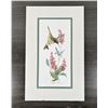 Image 1 : Carolyn Shores Wright Hummingbird Print