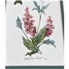 Image 2 : Carolyn Shores Wright Hummingbird Print