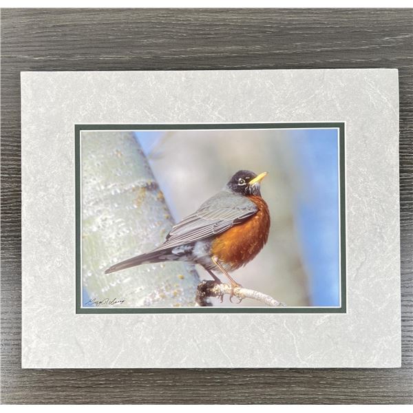 Greg Roberts Robin Photo