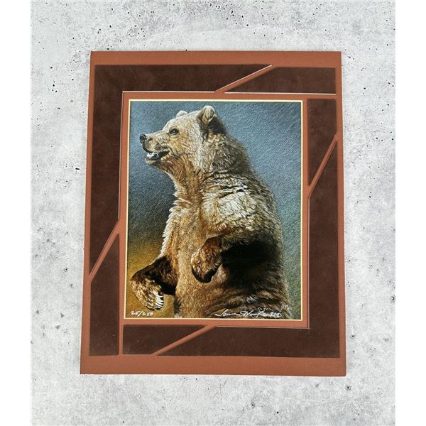 Grizzly Bear Limited Edition Print
