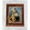 Grizzly Bear Limited Edition Print