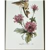 Image 2 : Carolyn Shores Wright Hummingbird Print