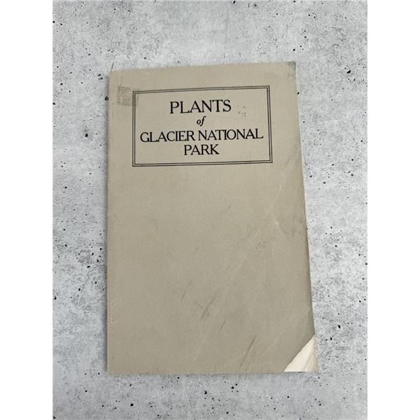 Plants Of Glacier National Park