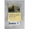 Image 7 : Splendid On A Large Scale Author Signed