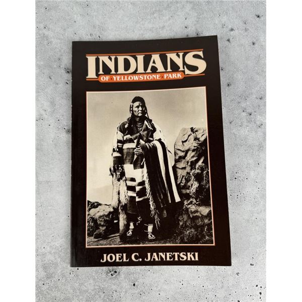 Indians Of Yellowstone Park