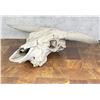 Image 3 : Nice Large Montana Ranch Bull Skull