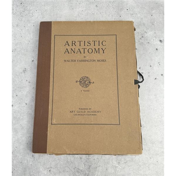 Artistic Anatomy
