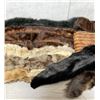 Image 3 : Group Of Vintage Fur Collars