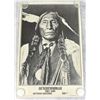 Image 1 : 1973 Wolf Robe Southern Cheyenne Poster