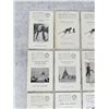 Image 2 : Southwest Museum Leaflets
