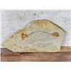 Image 2 : Native American Indian Painted Stone