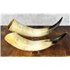 Image 2 : Pair of Steer Horns
