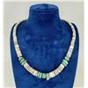 Image 1 : Zuni Shell Turquoise Heishi Bead Necklace