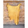 Image 1 : Leather Deer Hide