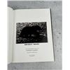 Image 2 : Grizzly Bears