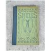 Image 1 : Florida Marine Shells
