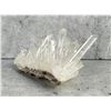 Image 3 : Himalayan Lemurian Quartz Cluster