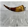 Image 2 : Colonial American Ship Scrimshaw Powder Horn