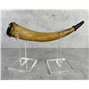 Image 1 : Antique American Frontier Powder Horn