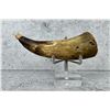 Image 2 : Antique American Frontier Powder Horn