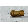 Image 1 : Civil War 45 Caliber Whitworth Rifle Fired Bullet