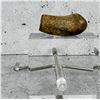 Image 2 : Civil War 45 Caliber Whitworth Rifle Fired Bullet