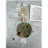Image 2 : Civil War Relics Dug At Rio Hill Virginia