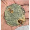 Image 4 : Civil War Relics Dug At Rio Hill Virginia