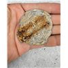 Image 5 : Civil War Relics Dug At Rio Hill Virginia