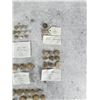 Image 2 : Large Collection Of Excavated Musket Balls