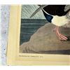 Image 2 : Audubon Shoveller Duck Print