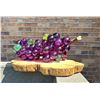 Image 1 : Mid Century Lucite Grapes