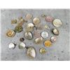 Image 4 : Native American Shell Buttons Beads