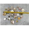 Image 5 : Native American Shell Buttons Beads