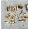 Image 2 : Native American Indian Site Recovered Teeth