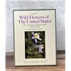 Wild Flowers Of The United States Volume Six