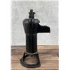 Image 2 : Columbiana Cast Iron Pitcher Pump