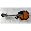 Image 4 : Rogue Mandolin F Model RM-100F