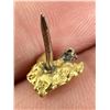 Image 7 : Montana Gold Nugget & Diamond Tie Tack