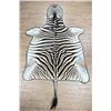 Image 1 : Very Nice Large African Taxidermy Zebra Rug