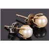 Image 1 : 10K YELLOW GOLD NATURAL  PEARL STUD EARRINGS