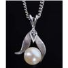 Image 1 : 14K WHITE GOLD PEARL DIAMOND NECKLACE & PENDANT