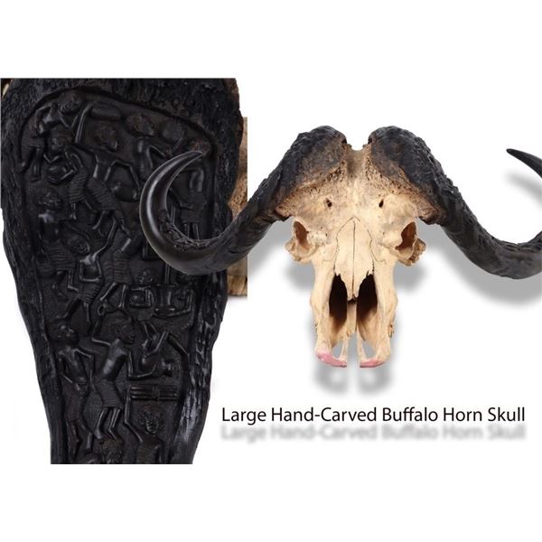 AFRICAN CAPE BUFFALO WITH HAND CARVED HORNS