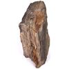 Image 1 : 10 LB. PETRIFIED WOOD TREE TRUNK