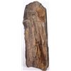 Image 2 : 10 LB. PETRIFIED WOOD TREE TRUNK