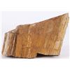 Image 1 : 7.9LB PETRIFIED WOOD MINERAL SPECIMEN