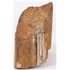 Image 2 : 7.9LB PETRIFIED WOOD MINERAL SPECIMEN