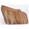 Image 3 : 7.9LB PETRIFIED WOOD MINERAL SPECIMEN