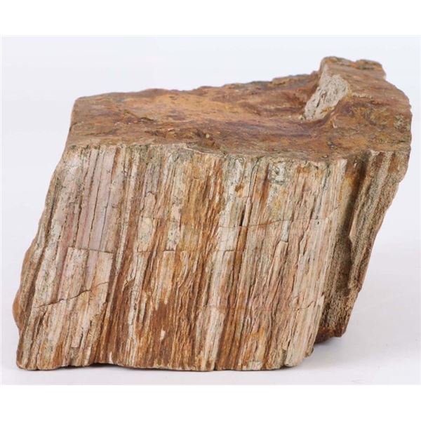 7.3LB PETRIFIED WOOD MINERAL SPECIMEN