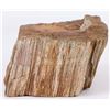 Image 1 : 7.3LB PETRIFIED WOOD MINERAL SPECIMEN